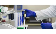 DNAble - Molecular Detection of CMM in Tomato