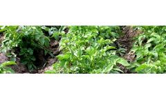 Soil Sampling for Nutrient Management Services