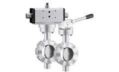 Burgmer - Model 210 DE - Double Eccentric Valve