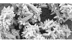 Paper & packaging solutions for high fiber substitution sector