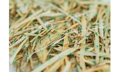 East Coast - Model ECS-2D - Temporary Double Straw