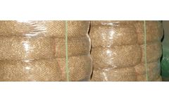 East Coast - Model 12 Inch - Excelsior Wattle