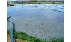 Bio-Augmentation Product Eliminates Odor and Removes Sludge from Waste Lagoons