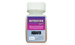 Aquafix - Model Nitrifier Pro - Ultra-Concentrate Ammonia and Nitrite Oxidizing Bacteria