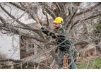 Tree Trimming and Pruning Services