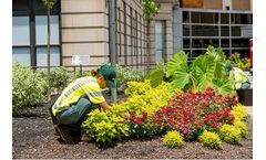 Landscape Enhancements Services