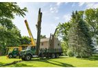 Tree Removal Services