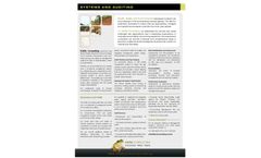 Systems and Auditing