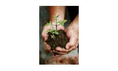 Climate Change Services
