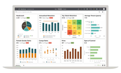 Oracle - Human Capital Management Analytics Software