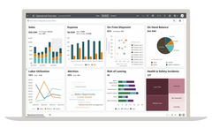 Oracle - Fusion Data Intelligence Software