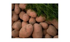 Wastewater treatment for the food industry