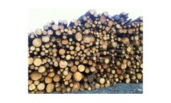 LandEnergy - Model 190KW - Wood Chip Multifuel