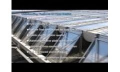 Meurer Asia Plate Settler Video