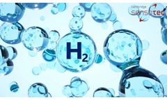 Precision in Hydrogen Gas Analysis: Choosing the Right Gas Analyzer