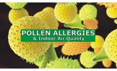 Pollen Allergies and Indoor Air Quality Discussed in New Online Video