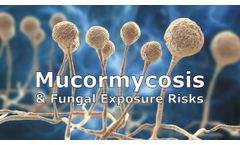 Mucormycosis and Fungal Exposure Risks Discussed in New Online Video
