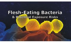 Flesh-Eating Bacteria and Potential Exposure Risks Discussed in New Online Video