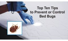 Top Ten Tips to Prevent or Control Bed Bugs Discussed in New Online Video