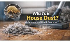 New Video Discusses What Can Be Found in House Dust and Potential Health Concerns