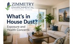 What’s Lurking in Common Dust Found in Homes, Businesses, and Schools in Puerto Rico?