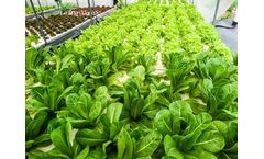 Gas detection solutions for air monitoring in produce sector