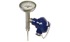 WIKA - Model TT.30 - Twin-Temp Thermometer