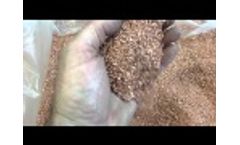 Copper Recovery - Choppin - Wire Chopper - Cable Recycling - NEW Phoenix model now shipping! -  Video