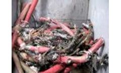 Copper Recovery - WAGNER WS30 Shredding VERY Large TECK Cable - Wire Chopper - Cable Recycling - Video