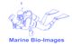 Marine Bio-images
