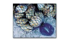 Knitted Shellfish Bags
