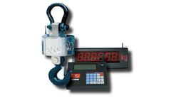 TWS - Model TW-S2-100K-E-SB - Crane Scale Package