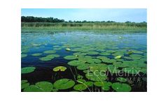 Biological Monitoring Services
