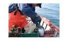 Environmental Effects Monitoring (EEM) Services