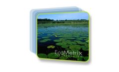 Water Quality Assessment