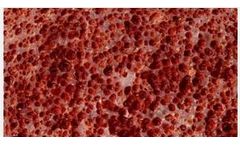 Biological Wastewater Treatment Systems for COD Removal and Nitrification Process