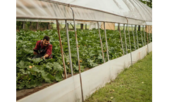 Quantis - Supply Chain Transformation Software