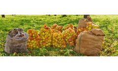 Air filtration and gas purification solutions for post-harvest