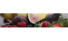 Air filtration and gas purification solutions for post‑harvest care sector