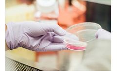 Bioconservacion - Application Consultancy Services