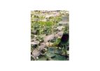 Plant Support Netting | Pea and Bean Climbing Mesh