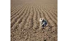 Farmland Abandonment in the EU: an Assessment of Trends and Prospects