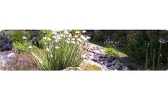Landscape Design and Installation Services