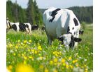 Eurovix - Livestock Care Bioenhancers