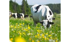 Eurovix - Livestock Care Bioenhancers
