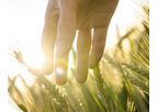 Eurovix - Bioenhancers for Crops