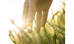 Eurovix - Bioenhancers for Crops