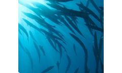 Eurovix - Bioenhancers for Aquaculture