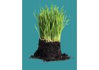 Topdress - Model 80/20 - Sand + Compost Soil