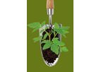 Compost - Nutrients for Plant Health and Vitality